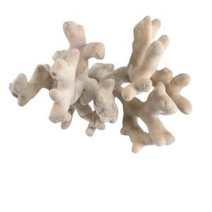 Vintage White Acropora Coral Branch Decor 11" Natural Specimen Coastal Display
